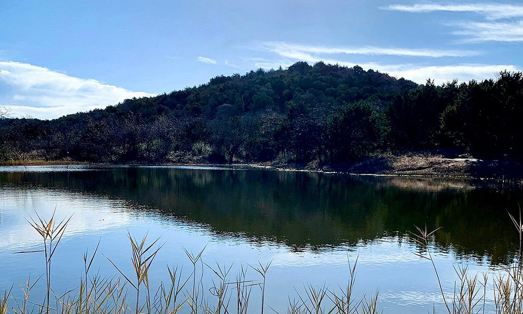 Outdoor Adventures Near Dallas: Hiking Trails Worth the Drive